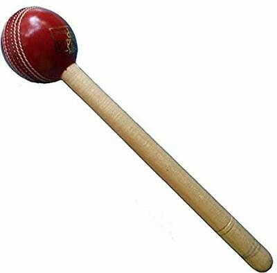 cricket leather ball hammer