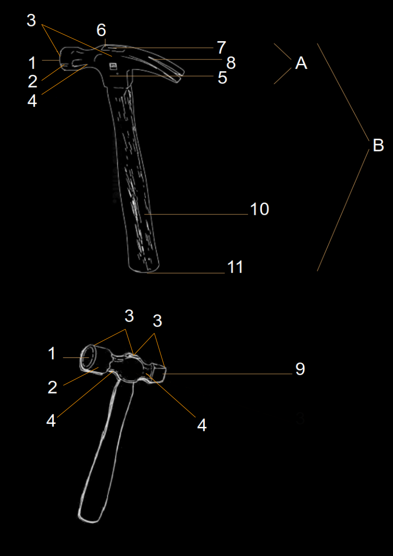 schema morfologie pen– en klauwhamer