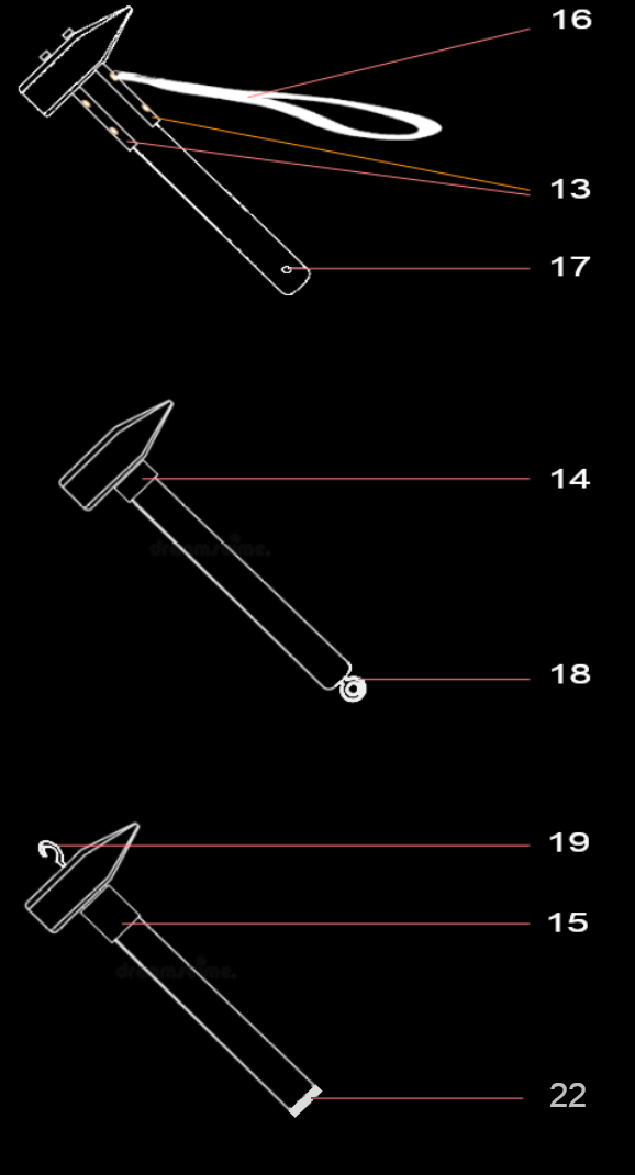 schema morfologie rest