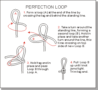 Perfect loop. Узел perfection loop. Узел perfect loop. Loop Knot узел. Perfection loop узел нахлыстовый.